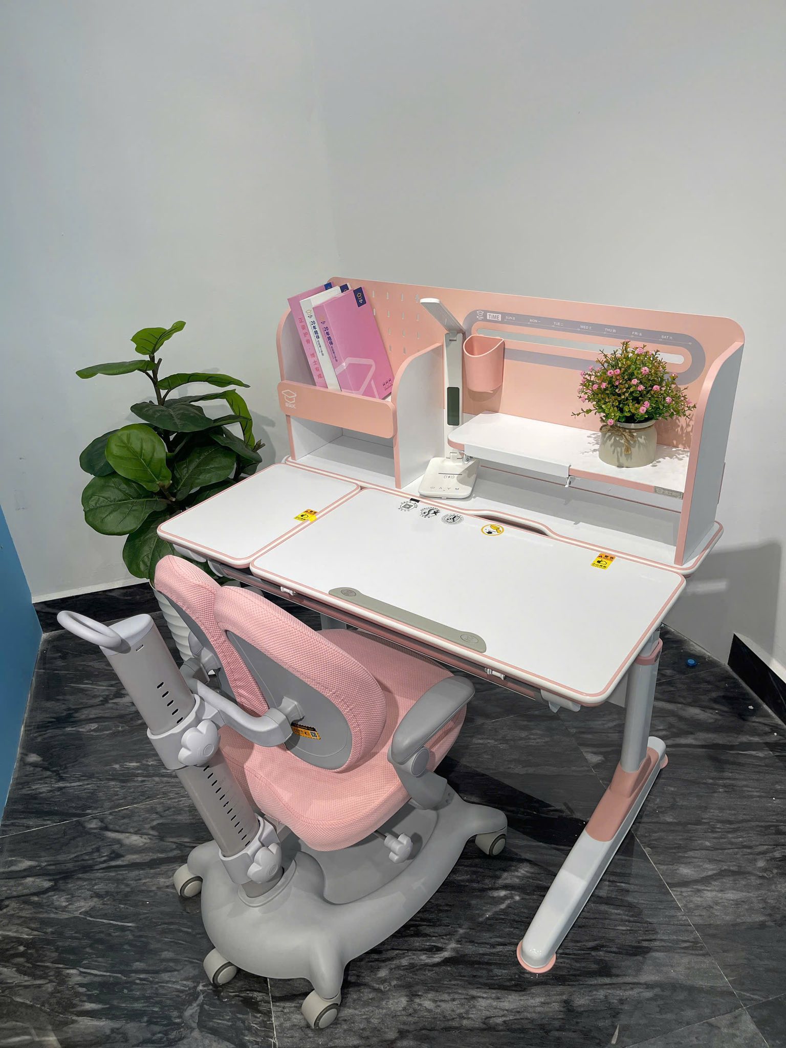 578584824_868818782167628_1463957615749740663_n