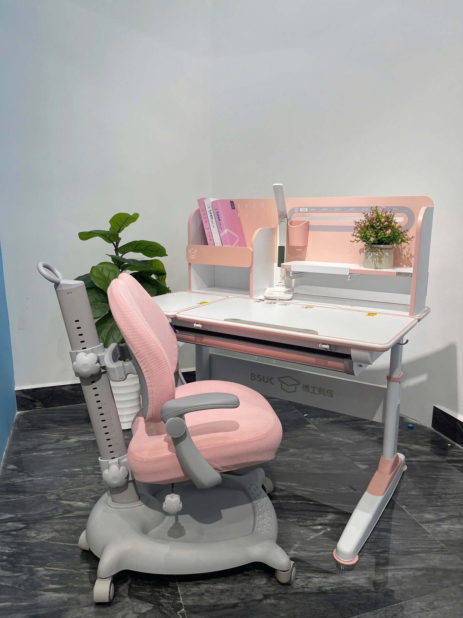 579007966_868818942167612_7768480513644027541_n